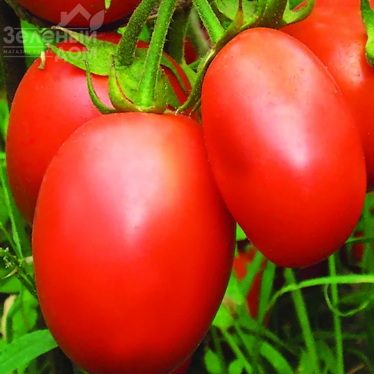 Победитель / Pobeditel фото 1