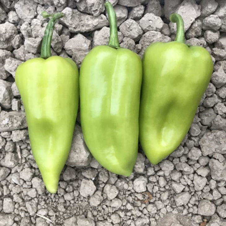 ЦРХ 69110 F1 / CRX 69110 F1 фото 1