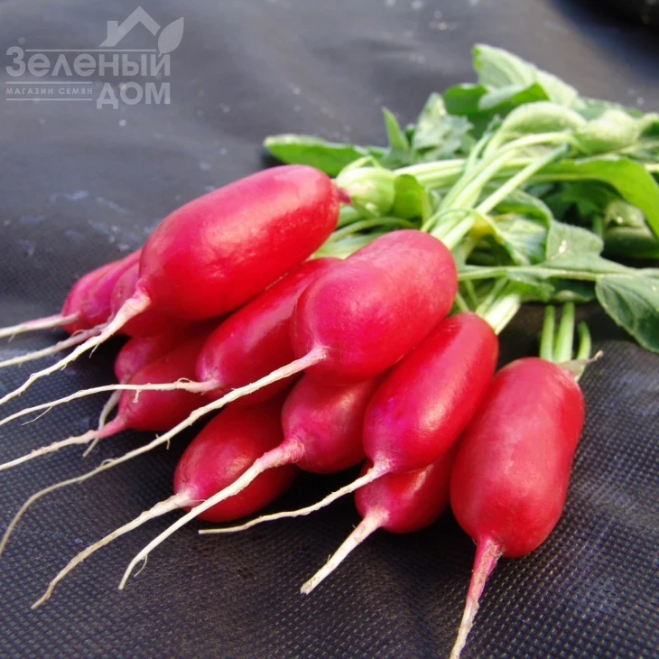 Форум / Forum,31-34 дня фото 1