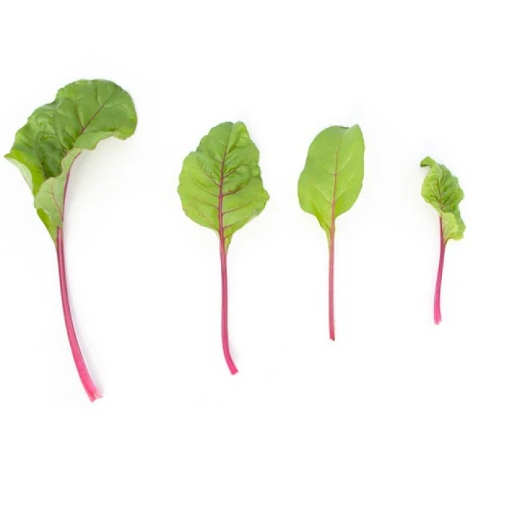 Чарли / Charlie,70 дней фото 2