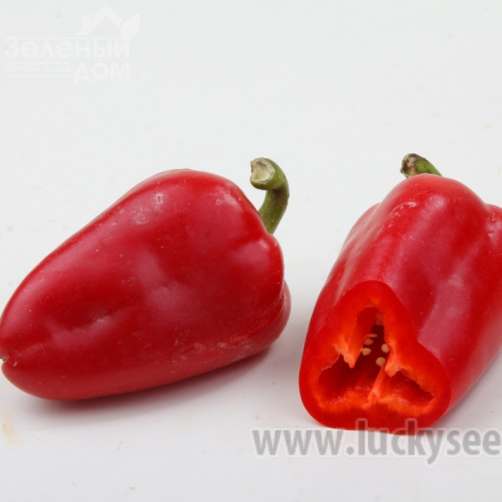 Моноліт F1 / Monolit F1,75-80 днів фото 2