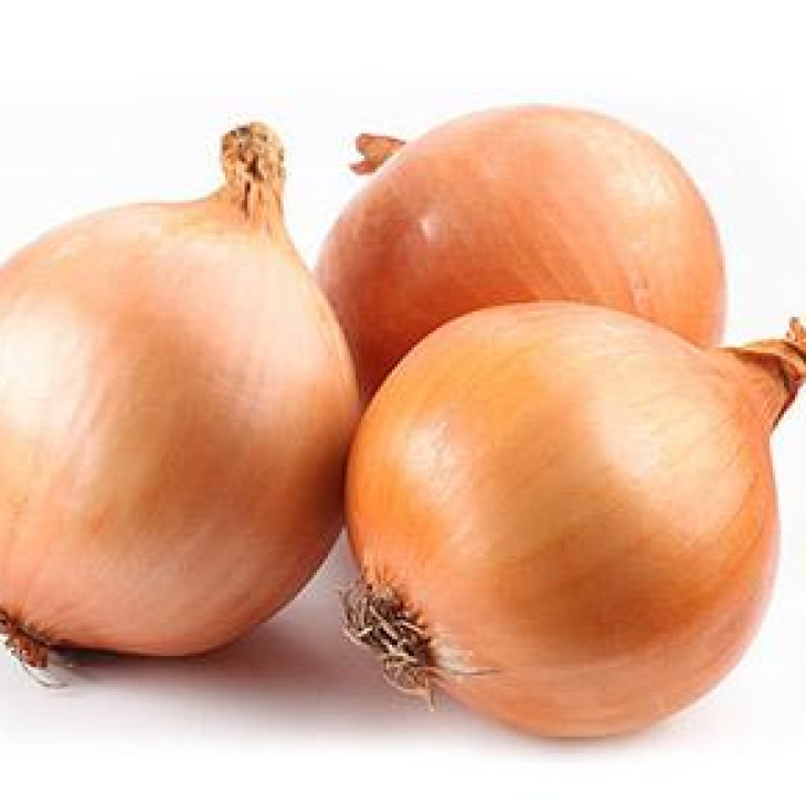 Темптейшн F1 / Tempteyshn F1,100 - 105 днів фото 1