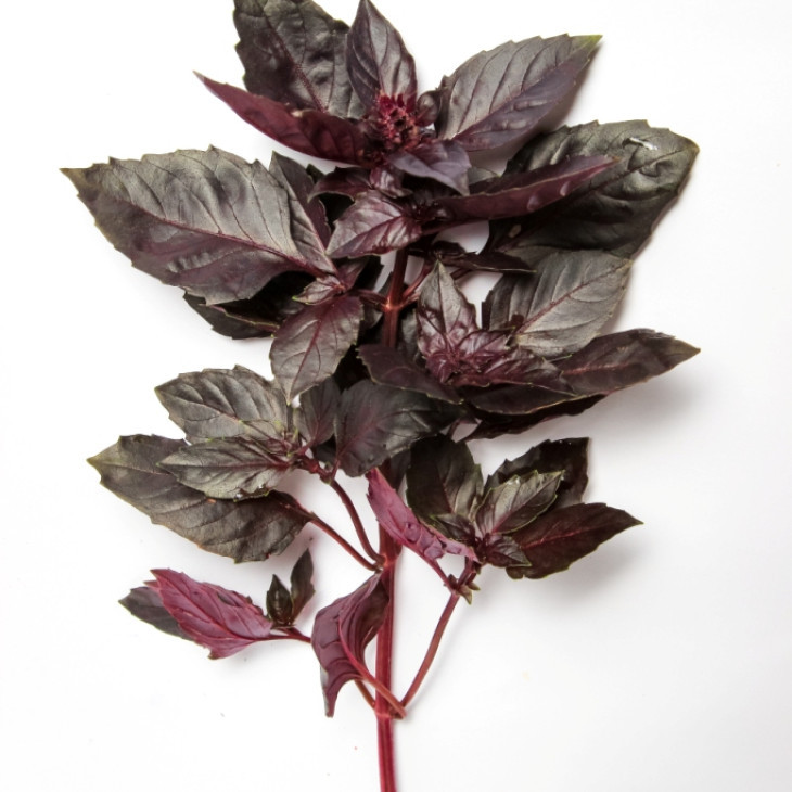 ЛС 2712 / LS 2712 фото 2