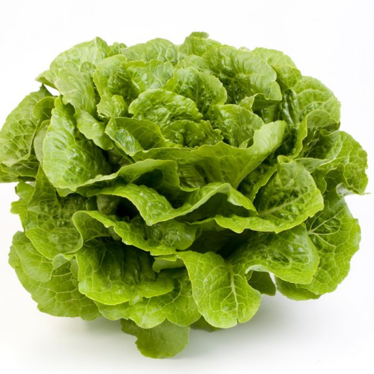 Октавіус / Octavius фото 1