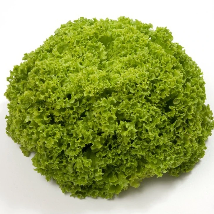 Аллепо / Aleppo фото 1