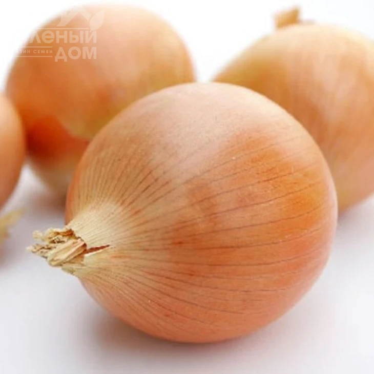 Денсити / Densiti фото 1