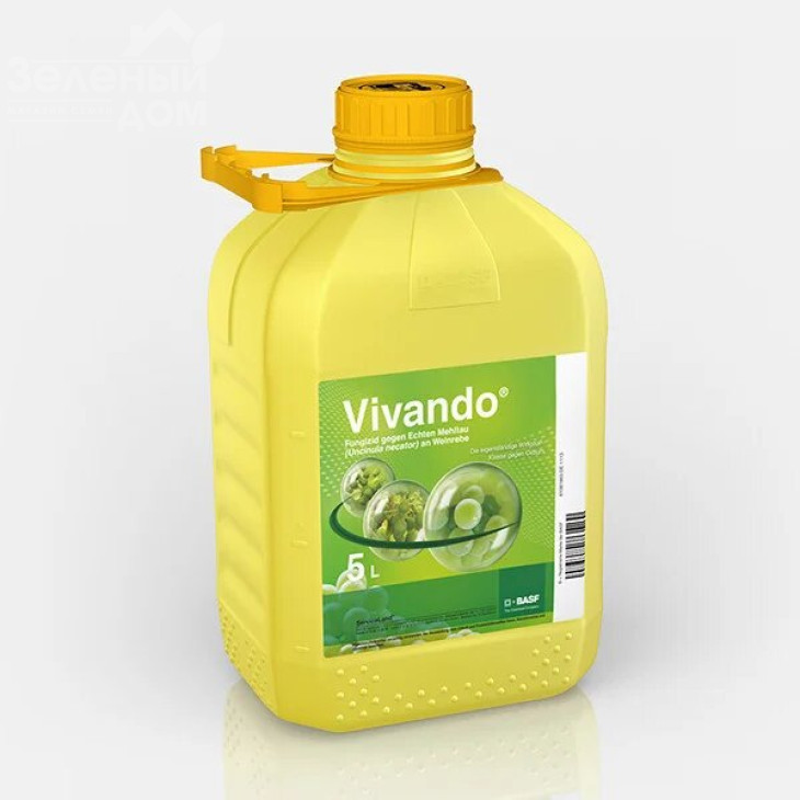 Вівандо / Vivando, КС фото 1