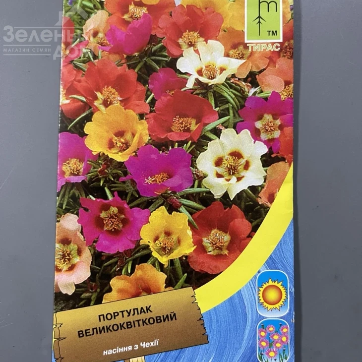 Портулак великоквітковий  фото 1