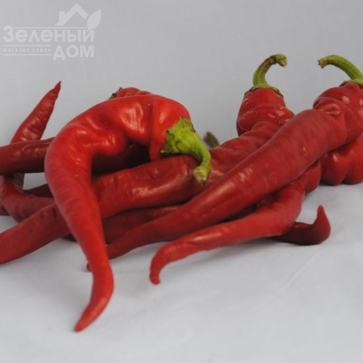 Ацтек F1 / Atstek F1,60-65 днів фото 2