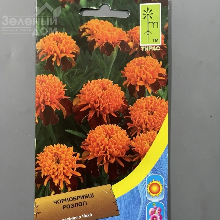 Бархатцы раскидистые низкие Карамель фото 1