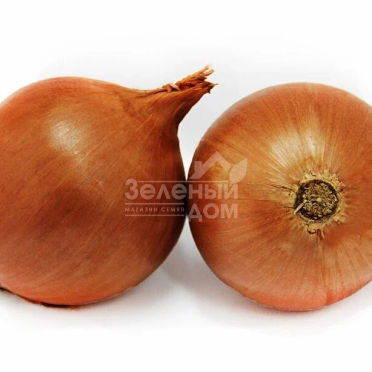 Скайбел F1 / Skybell F1 фото 1