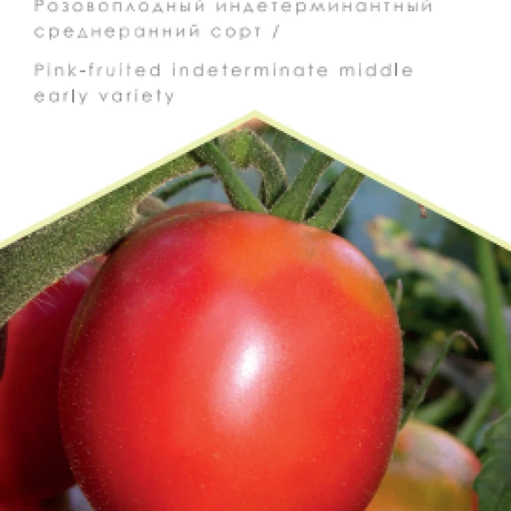 Де барао розовый / De barao rozovyi, 110-125 дней фото 1