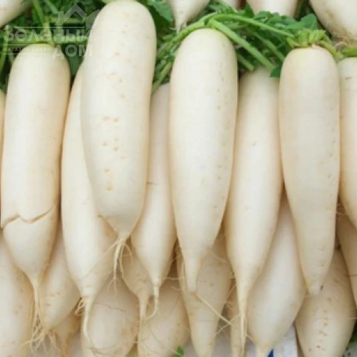 Чимборазо (ТИ - 150 F1) / Chimborazo (TI - 150) F1,60 дней фото 1