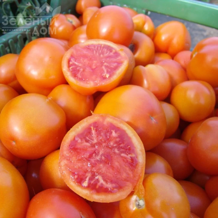 Златава / Zlatava фото 1