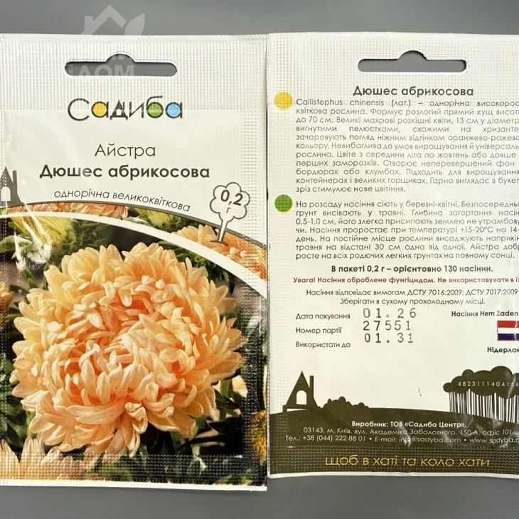 Айстра Дюшес (абрикосова) фото 1