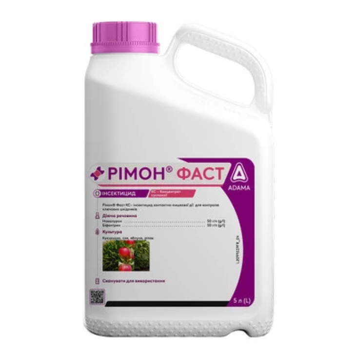 Рімон Фаст / Rimon Fast, КС фото 1