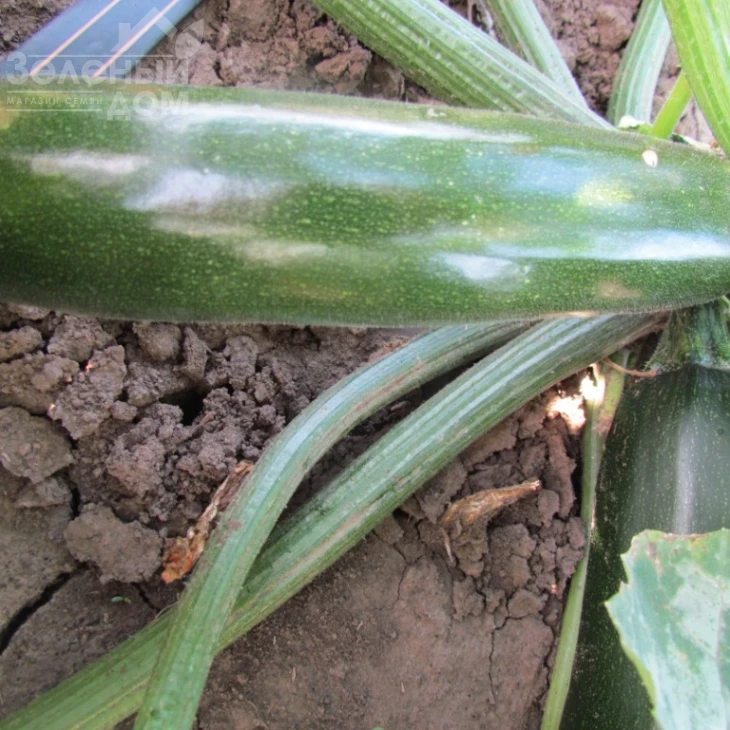 ЛС 1890 F1 / LS 1890 F1 фото 5