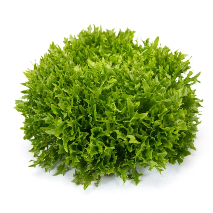 Экзем / Exam фото 2