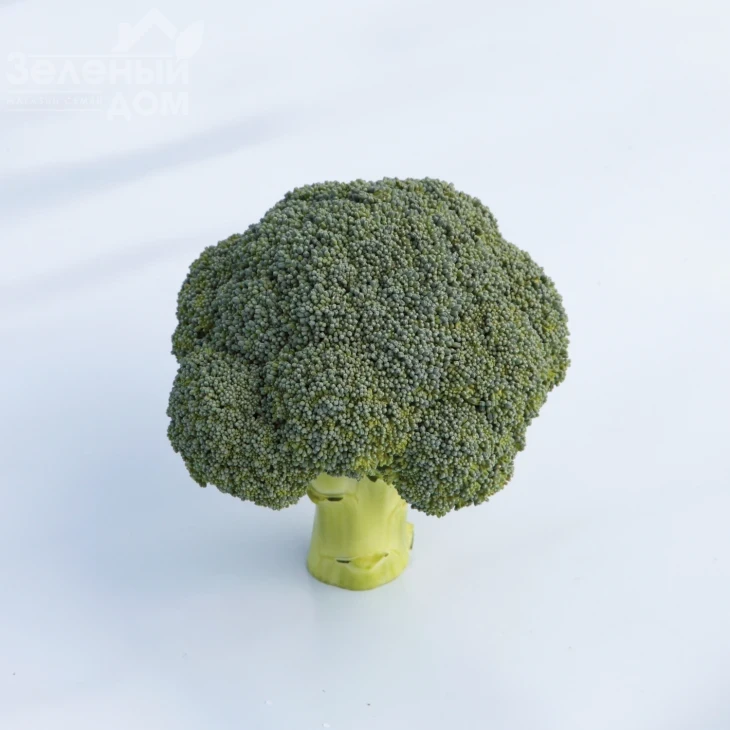 Бести F1 / Besty F1,55-60 дней фото 1