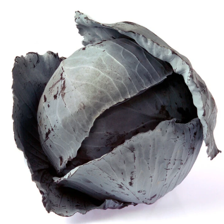 Футурима F1 / Futurima F1, 125-140 дней фото 3