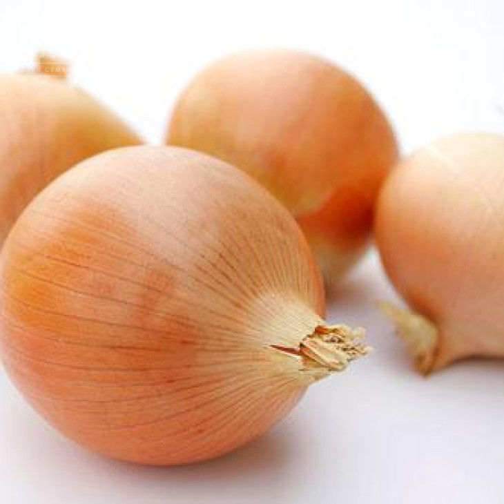 Тітаніум / Titanium,115 днів фото 1