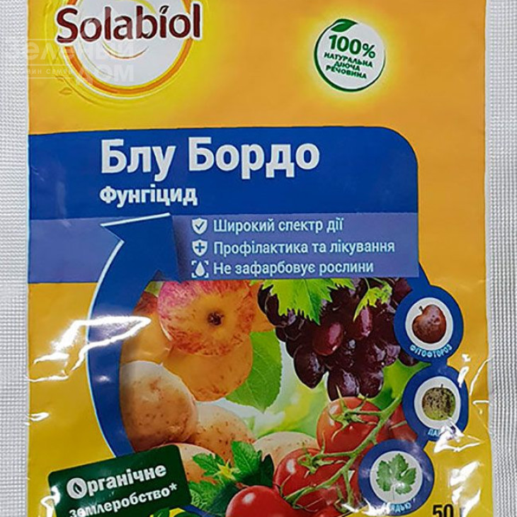 Блу Бордо (Блю Бордо) / Blue Bordo, ВГ фото 1