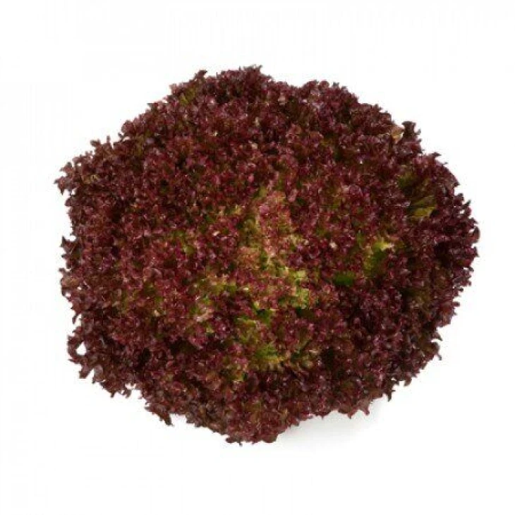 Кавернет / Cavernet фото 1