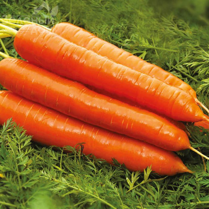 Колтан F1 / Coltan F1 фото 1