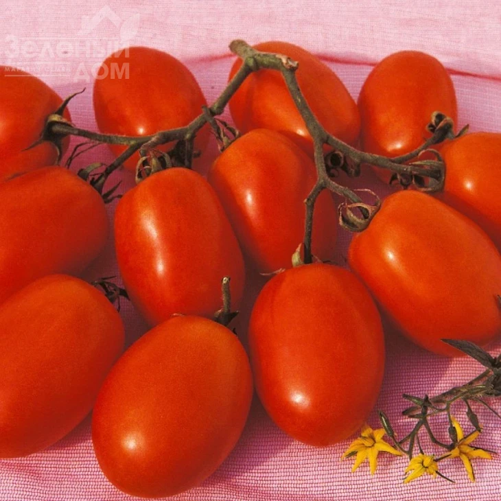 Ксико F1 / Xiko F1,110-115 дней фото 1