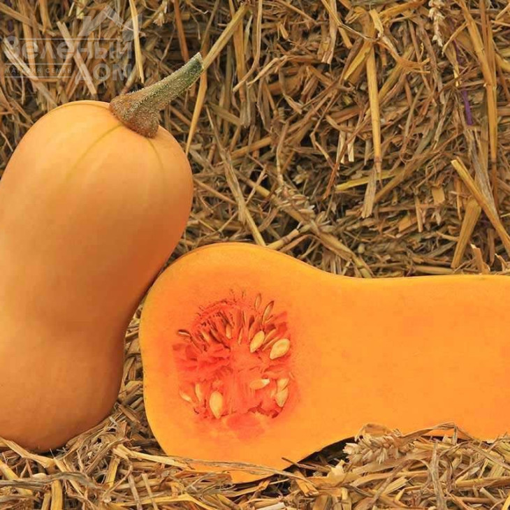 Волтгем батернат F1 / Voltgem baternat F1,120 днів фото 2