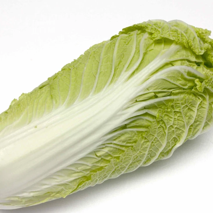 Конкорд F1 / Concord F1,65 дней фото 1