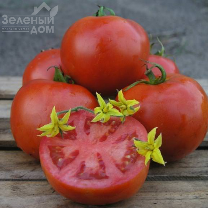 Махітос F1 / Mahitos F1,90-100 днів фото 3