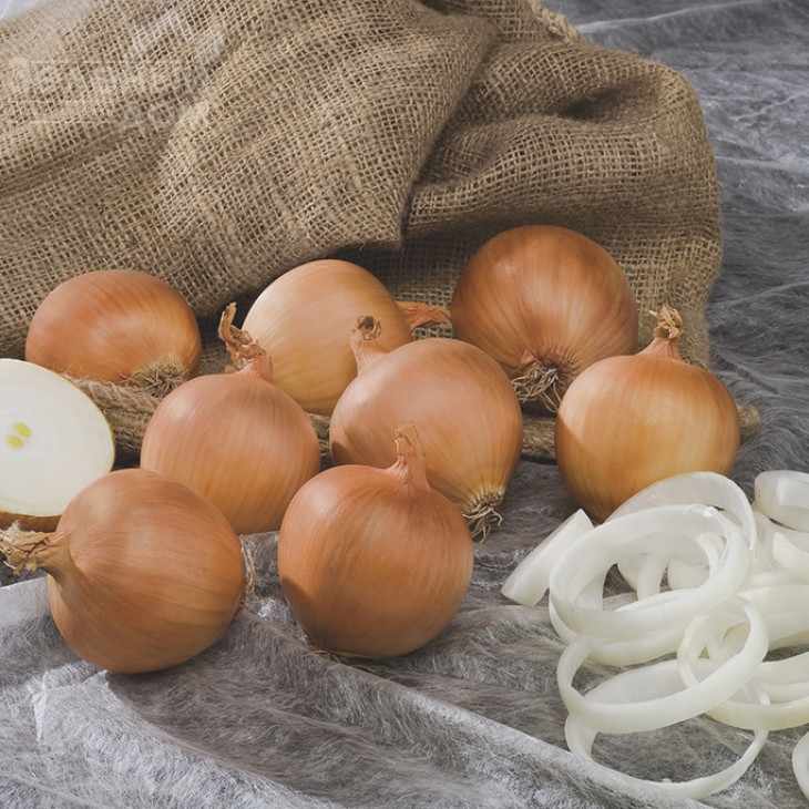 Алонсо F1 / Alonso F1,110-115 днів фото 1