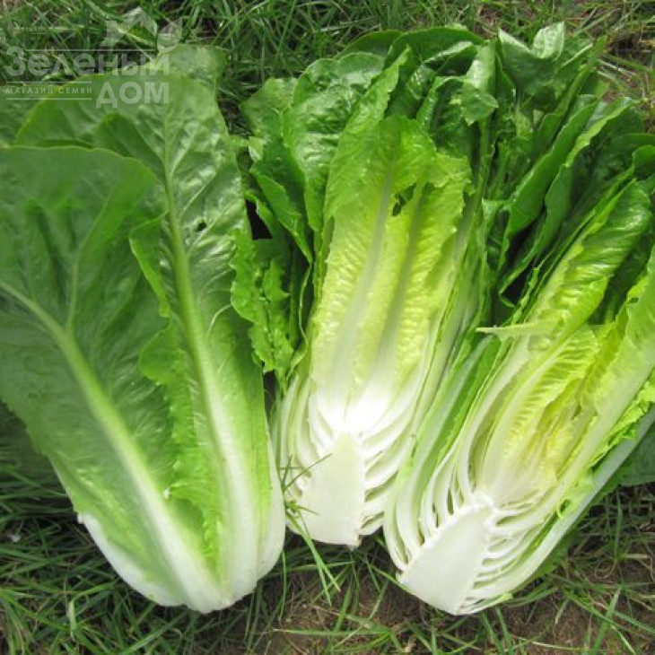 Кілнсей / Kilnsey фото 1