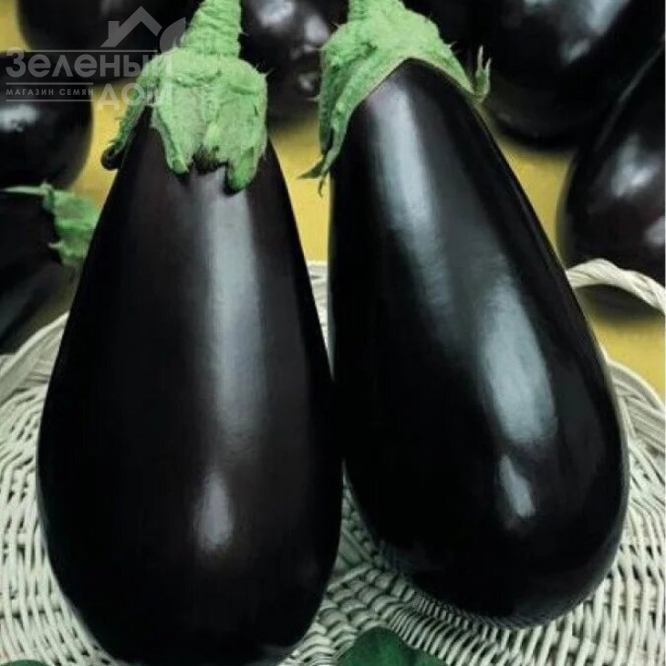 Візир F1 / Vizir F1,70-75 днів фото 2