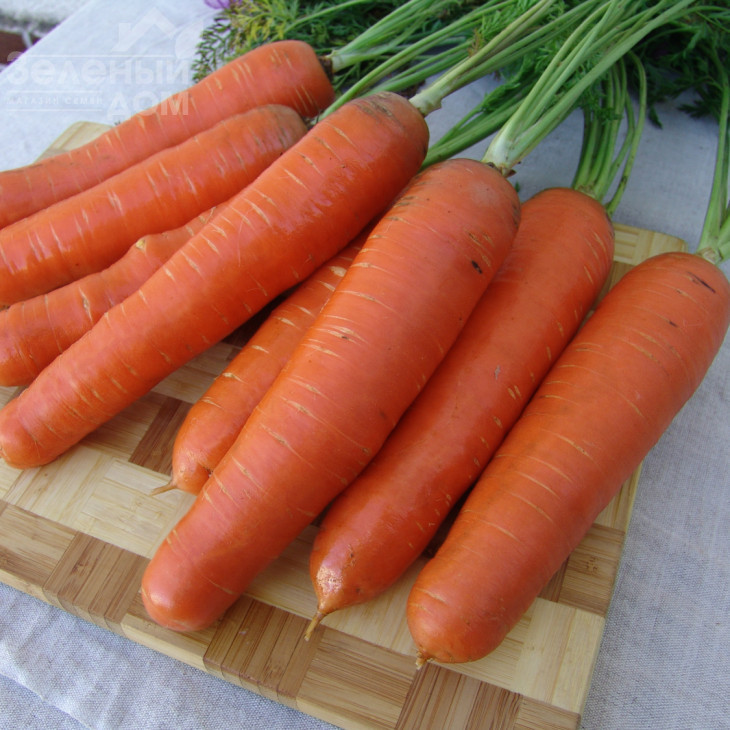 Анета F1 / Aneta F1,100-105 днів фото 1