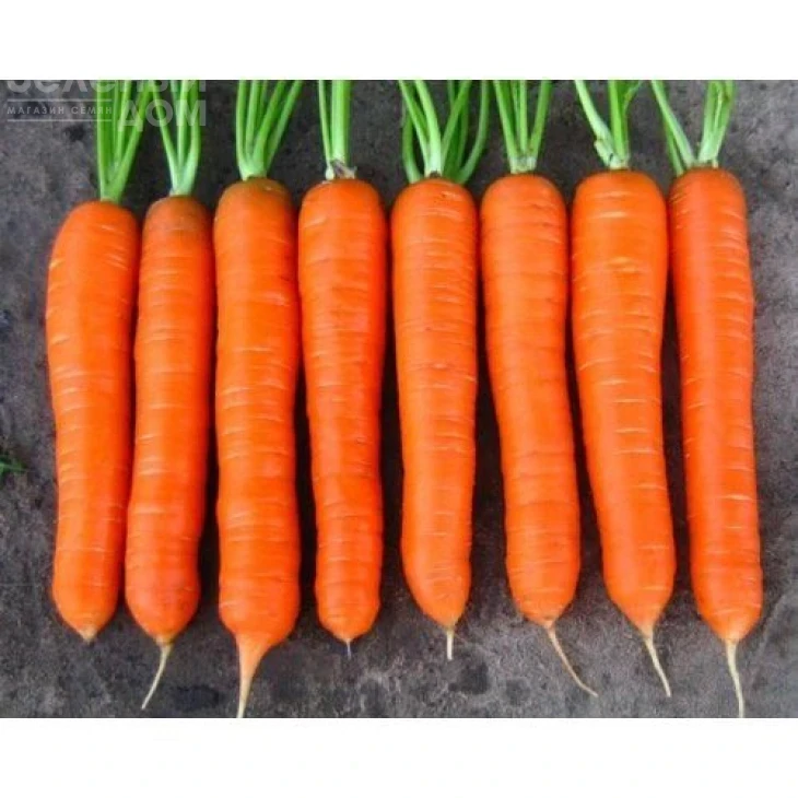 Колтан F1 / Coltan F1 фото 2