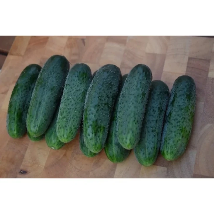 Баритон F1 / Barytone F1 фото 2