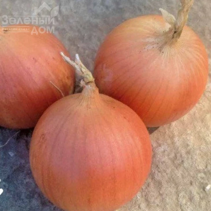 Кейс F1 / Keys F1, 250 дней фото 1