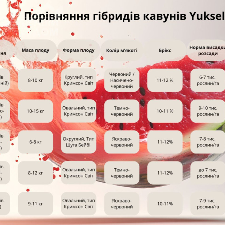 Маніса F1 / Manisa F1 фото 4