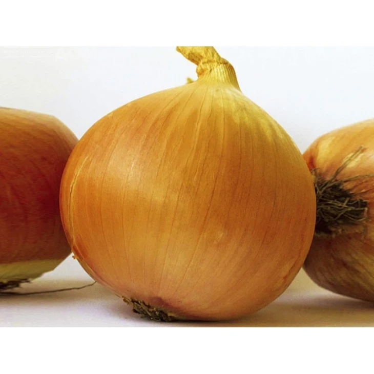 Ламика F1 / Lamyca F1 фото 1