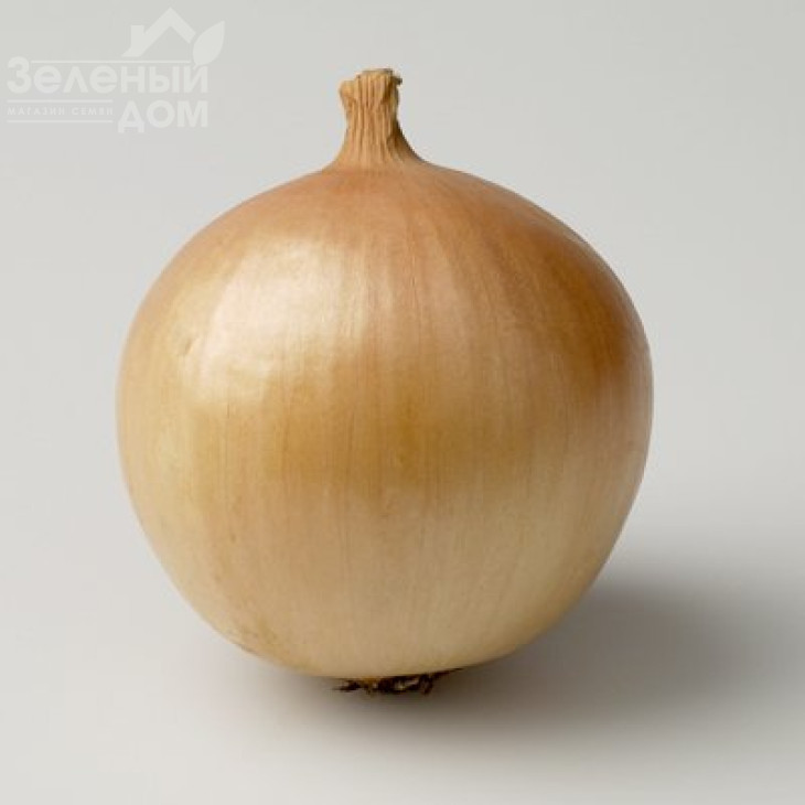 Франциско / Franzisko,110 днів фото 1