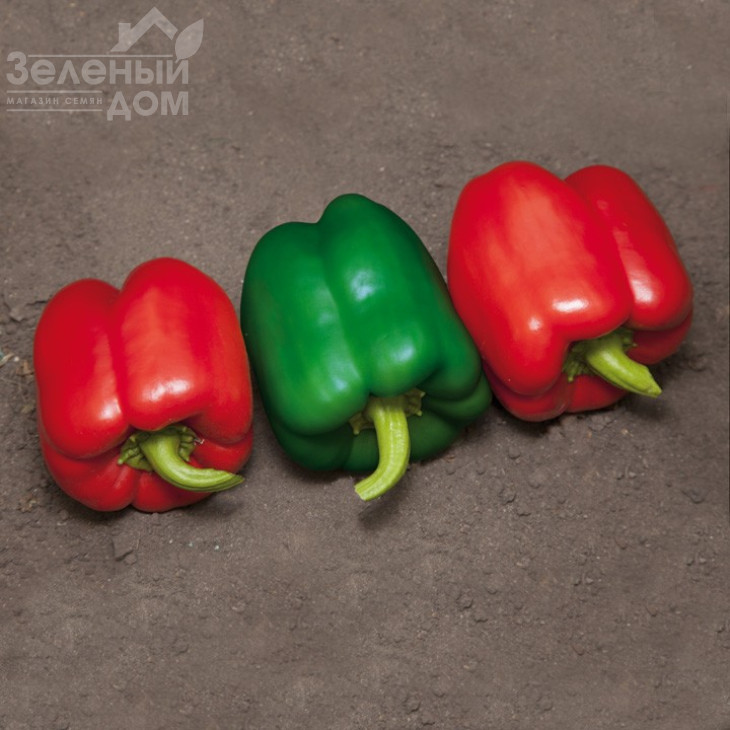 Катан F1 / Katan F1 фото 1