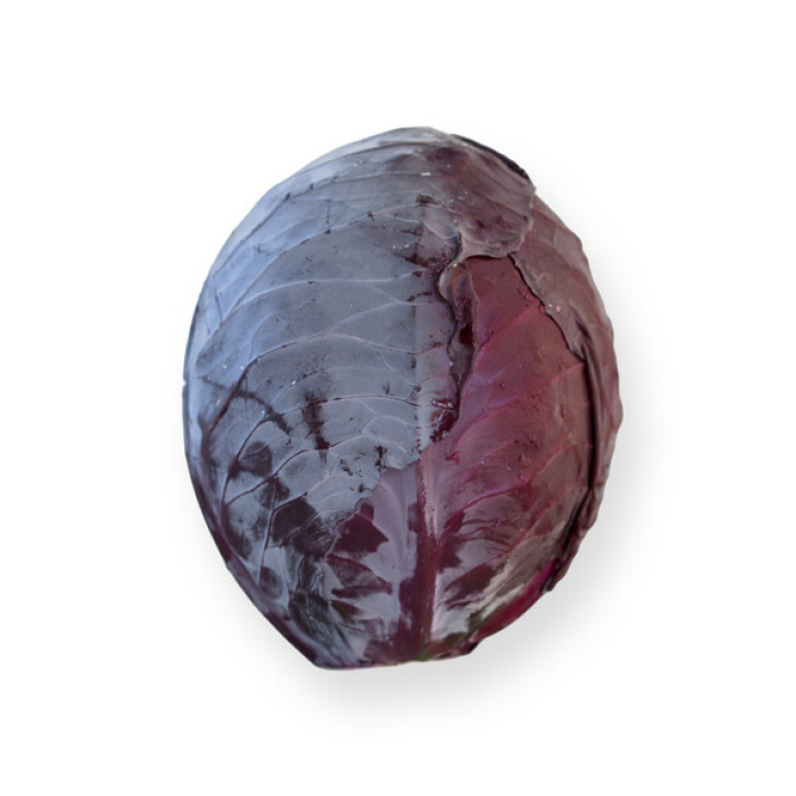 Футуріма F1 / Futurima F1, 125-140 днів фото 1