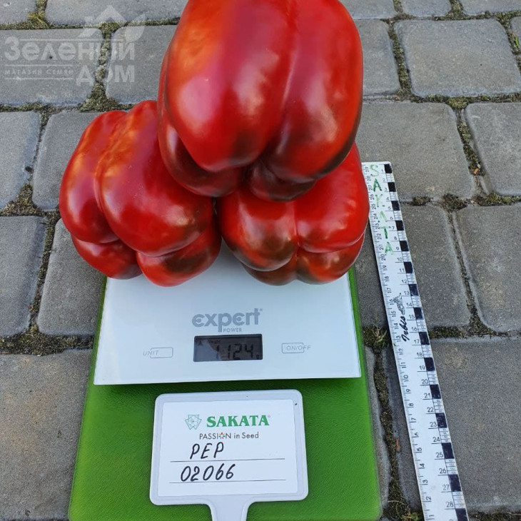 Халк F1 / Halk F1 фото 2