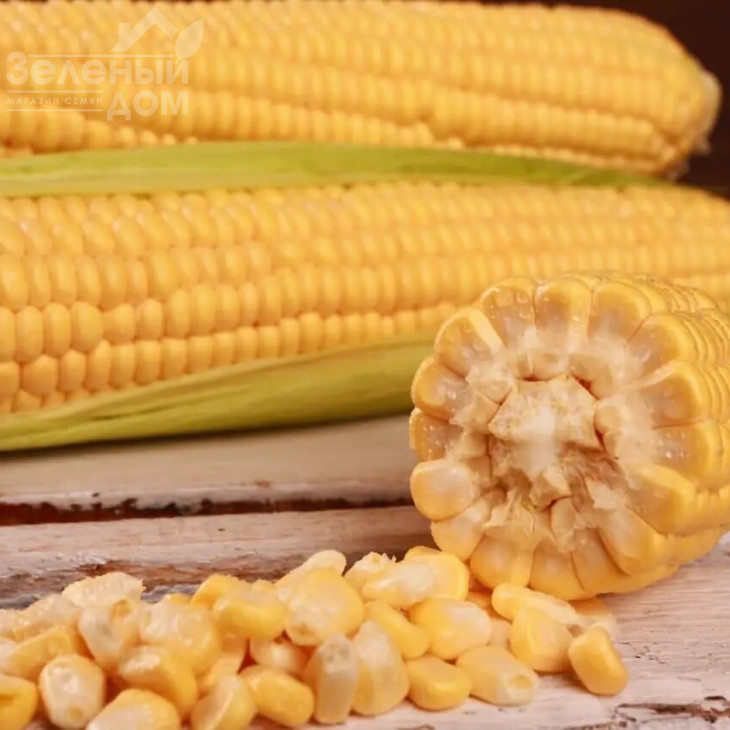 Канзас F1 / Kanzas F1, 65-68 днів фото 1