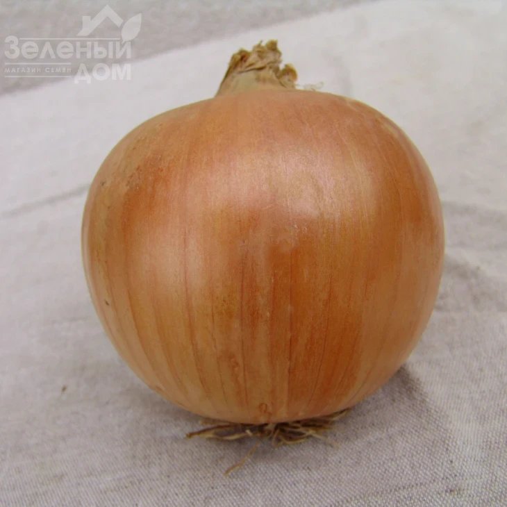 Унико F1 / Uniko F1 фото 1