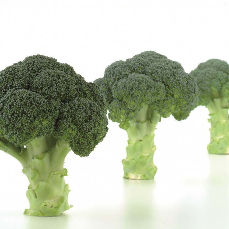 Нексос F1 / Naxos F1,75-80 днів фото 1