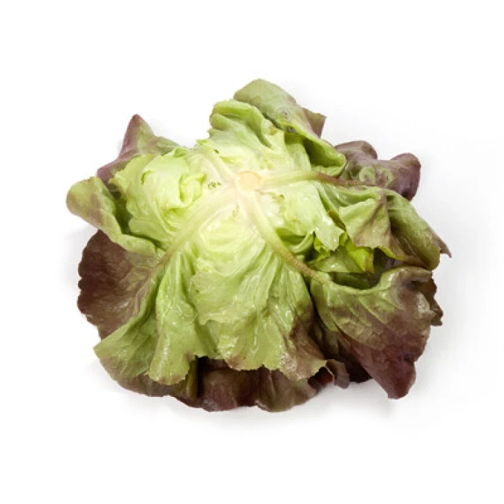 Скайфос / Skyphos фото 3