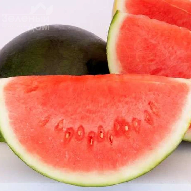 Титания F1 / Titania F1,70-75 дней фото 1